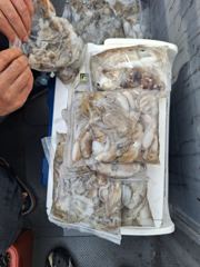 2025 9 16 쭈갑