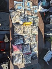 10월25일 (장고항그린호)주&갑조황