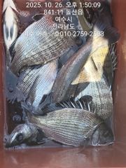 연일 대박행진이내요