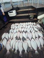 6/26일 광어조항 입니다 사진