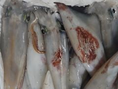 [거제블루]한치시즌 끝난게아니다 거제권한치 씨알이 장난아니네요 쿨러조황  월요일 예약가능~~ 사진