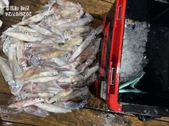 [24일왕한치]손맛찐하게보고~!! 일요일부터예약가능합니다! 일월화수 자리널널~  사진