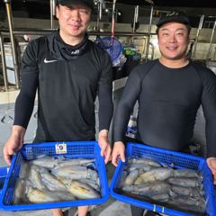 28일 팁런 무늬오징어 조황입니다 사진