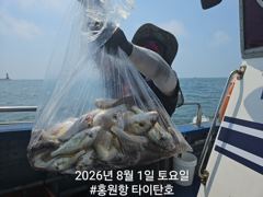 [백조기조황] [홍원항 타이탄호] 8월1일(토) 사이즈 좋은 백조기 가 따박따박~ 사진