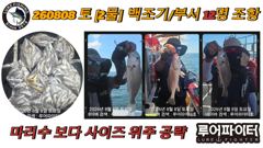 루어파이터호-8/8 토 [2물] 백조기/부서 12명 조항 입니다.