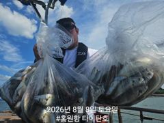 8/8 홍원항 타이탄호 부서/백조기 조황 사진