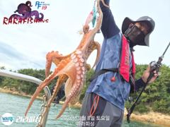 [진해] (야간문어) 목.금.토.예약가능 쫀쫀 덩치들 잡으로 가요~