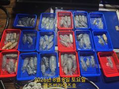 오늘 목요일 팁런 출조 모집합니다 사진