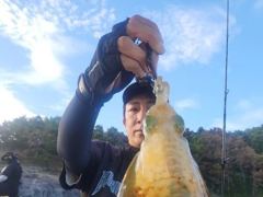 [무늬] 13일 호조황 이어갑니다.