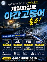 ⭐군산제일피싱호⭐야간고등어출조 6자리여유요