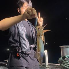 8월 14일 야간 한치낚시(반타임) 조황 사진