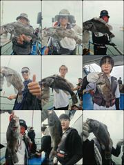 조황사진 - ♡다잡아♡(체험) 8월 15일 조황~!^^ - 인천제일바다낚시 | 인천배낚시, 인천쭈꾸미낚시 사진