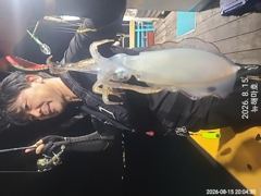 [포항] 15일 야간무늬팁런 조황 입니다