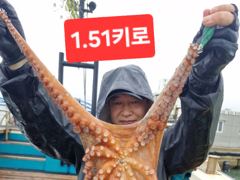 8월16일 수중전중~~~2키로오바.1.5키로.15키로~~~