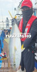 [부산 유강피싱] 유강호 부산권 부시리 파핑 지깅 조황입니다.