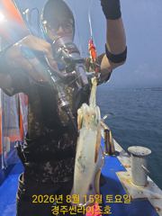 15일 팁런 조황입니다~~^^