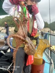 [사천] 내일 돌문어 출조합니다 자리여유 많습니다 주말도 자리여유