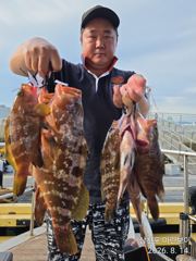 [사천] 삼천포 마린보이 8. 18. 화요일 부터 붉바리 외수질/야간문어… 사진