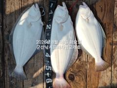 8/18, 생미끼~오늘도 굿 조황~내일도 갑니다~대광어 싸이즈 좋아요~실시간~농어,얼음돔,개우럭등도 굿굿~ "생미끼-민어,농어,광어~8월 평일, 선비 빅이벤트(선비8만)"~~ 군산 범고래호 사진