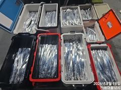 18일새벽,내만칼치 빗속에도 퍽퍽,텐빈,루어1타1피~많이잡고 예약가능~