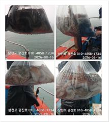[사천] 문어출조[주말,평일][선비할인]자리여유 예약중~