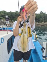 [통영] 카이로호!무늬 팁런조황 수요일 국도로