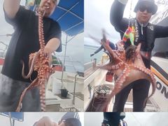 문어,20수에서8수까지 처음부터,끝까지 왕창,,(예약가능)