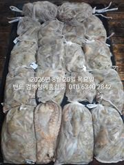 [군산] 8월19일 굿조황 ...군산 홈런호 야간 문어 마무리 조황 입니…