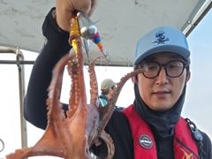 칠성호 돌문어 제법 괜찮네요 ~