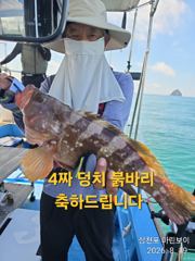 삼천포 마린보이 8. 21. 금요일부터 황금물때 붉바리 외수질/야간문어 출항합니다. 사진