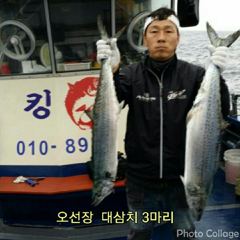 [포항] 8-20(실시간)돌문어~금.토.일 예약중 사진