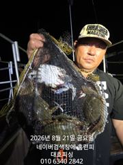 8월20일 군산 홈런호 야간 문어 12명 조사님의 마무리 조황입…