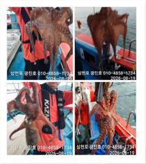 [사천] 문어조황굿{선비,5만 토,일,}자리널널 예약가능