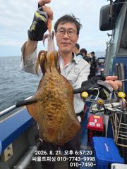 무늬조황 사진