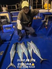 [군산] 군산킹스타호(8/21)야간삼치&고등어(12분조사님)마무리조황 사진