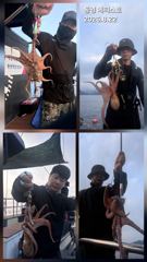 통영] 문어 사량도 굴어장 조황 22일(토) 통영 메티스호
