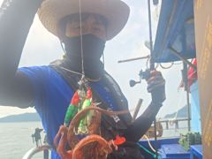 통영 송현호))돌문어 1.2K외 덩치들도 몰라오쥬~ 사진