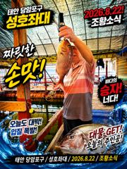 오늘의조황 - 8.22 성호좌대 조황소식 - 성호바다좌대