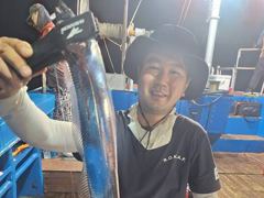 [진해] 준내만칼치 대치들 터졌다~3,4지급 쿨러가득 대박조황 쭉!!월,… 사진