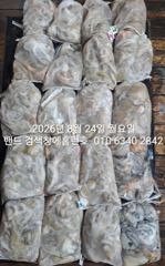 8월23일 굿조황  장원31수 군산 홈런호 야간 문어 마무리 조황 입니다.홈런호에 승선하신 조사님들 수고 하셨습니다. 사진