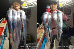 [통영만선피싱] 씨알 좋은 갈치~~ 29일 토요일부터 정상출조합니다 자리여유 예약가능!! 예약문의주세요^0^* 사진