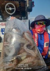 오늘밤12시출항ㆍ시원한야간무어낚시자리가능8만원