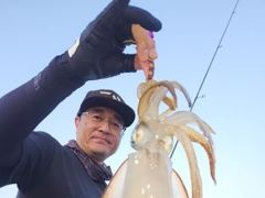 [무늬] 24일..욕지권 조황입니다. 25일 화욜 예약중입니다. 사진
