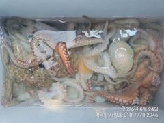 "돌문어" 1000g외 덩치들 133수이상 17수15수14수13수13수등 쭉~전원손맛 조황(예약가능) 사진