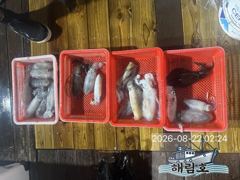 [거제] 거제 지세포항 무늬오징어 팁런 조과입니다. 사진