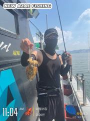 뉴아재피싱 8/25 갑오징어 탐사 조황입니다!내일도 출항확정!! 사진