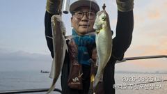 조황정보 - 8/25 백조기 조황 - 무창포선상낚시 사진
