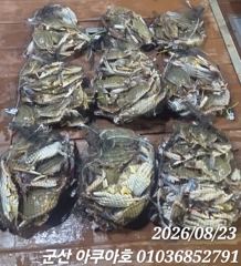 꽃게 선상낚시 ,(생미끼 우럭광어) 예약가능 사진