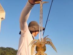 [통영] [무늬] 25일... 마릿수 이어집니다.  26일 예약중 사진