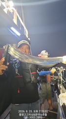 1
					
				
																[통영] 갈치(텐야) 5지4지 3지 대치들 난리~복수전 성공~고고피싱(2…									1 사진